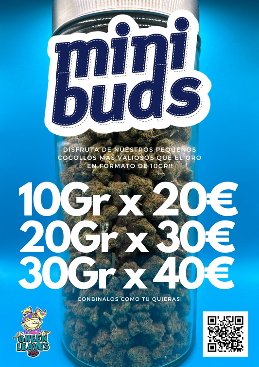 MINI BUDS CBD