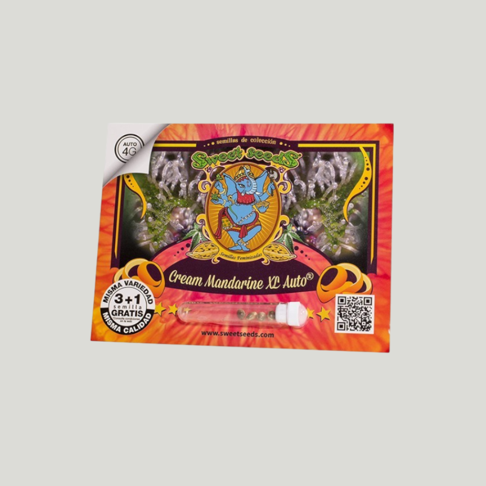 CREAM MANDARINE XL | AUTOFLORECIENTE