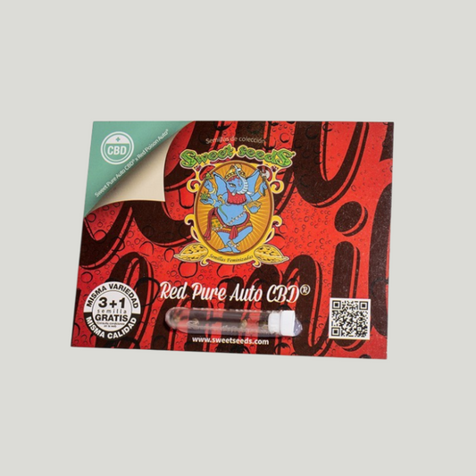 RED PURE CBD | AUTOFLORECIENTE
