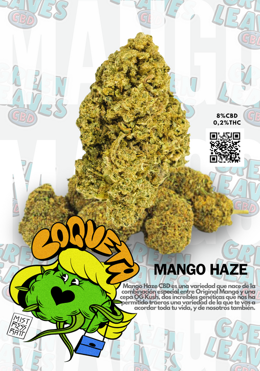 COQUETA | MANGO HAZE CBD