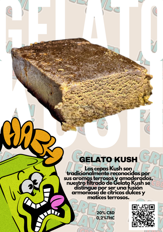 Las cepas Kush son tradicionalmente reconocidas por sus aromas terrosos y amaderados, nuestro filtrado de Gelato Kush se distingue por ser una fusión armoniosa de cítricos, dulces y matices terrosos.