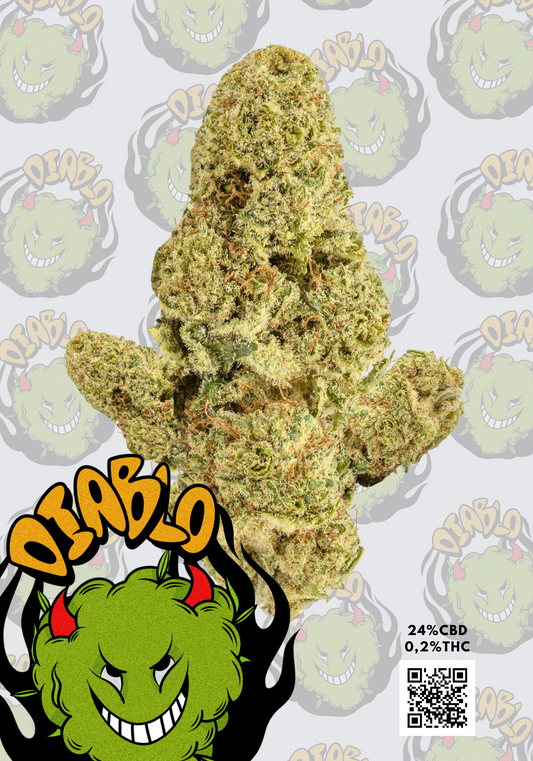 NORTHERN LIGHTS | DIABLO CBD