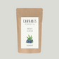 CANNABIS TEA NATURAL RICO EN CBD